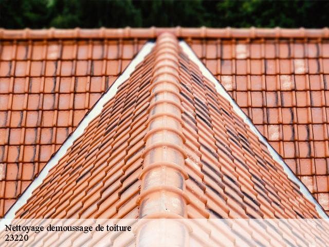 Nettoyage demoussage de toiture 23220