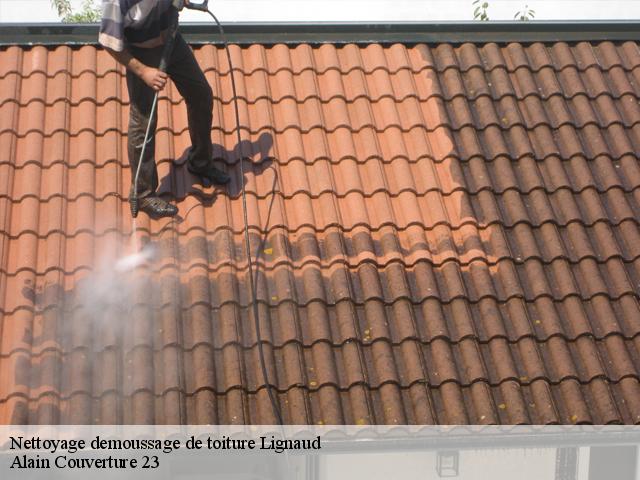 Nettoyage demoussage de toiture  lignaud-23360 Alain Couverture 23