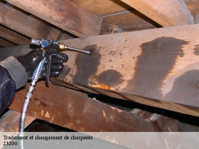 Traitement et changement de charpente 23200